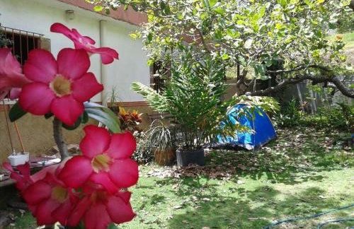 Sítio das Imbiribas Natureza em Igarassu - Foto 12