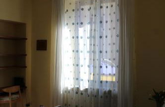 i tulipani - Foto 79