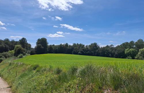 Casa familiar en Empordà rural, a 20 min de la playa - Foto 8
