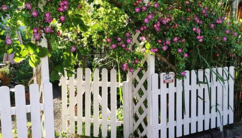 Ruhrpott-Paradies - Foto 5