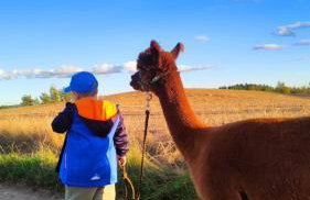 Agroturystyka Zagroda Alpaka - Foto 69