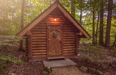 Ivy Cottage Cute Cottage Along The Ocoee River - Foto 23