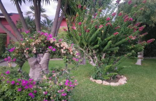 Orchidea Bianca - Foto 56