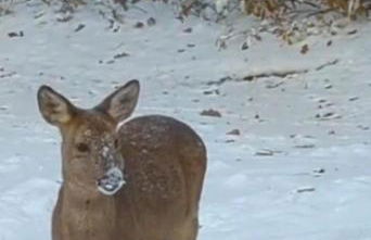 Wellnessoase mit Sauna und Whirlpool - Foto 39