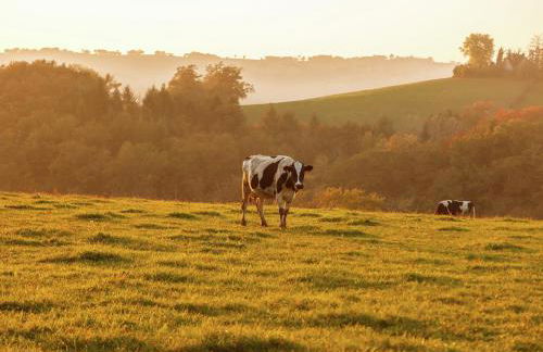 Holiday Home in Auvergne With Roofed Garden and Terrace - Foto 76