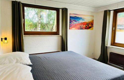 Das-Urlaubszuhause-fuer-Familien-Grossfamilien-Mehrfamilien-und-kleine-Gruppen-bis-zum-12-Personen-mit-vielen-Unterhaltungsmoeglichkeiten-im-Harz - Foto 20