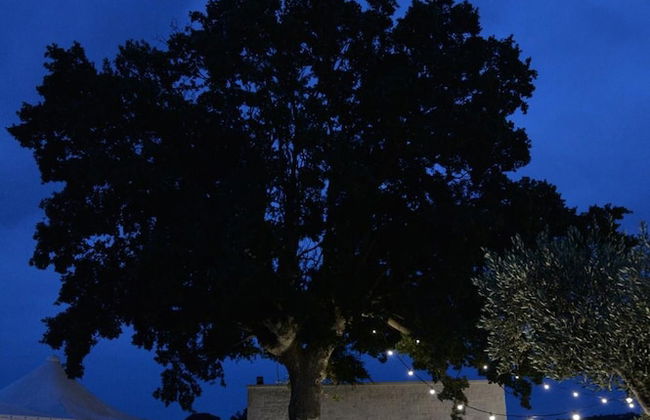 Masseria Corte Masseriola - Foto 51