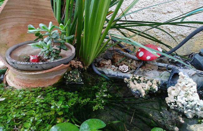 Ahuzat Shaul - Studio - Foto 39