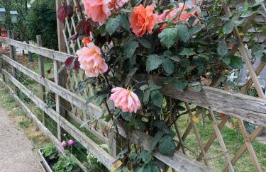 The Barn at White Rose Cottage - Photo 14