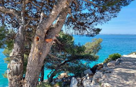 Apartmani Stipe - Foto 54