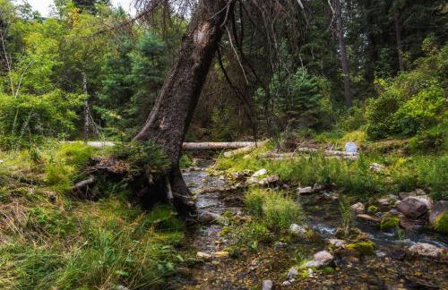 Cottage On The Stream Sundance, Utah - Foto 45