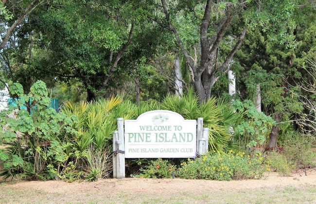 16316 Tortuga - Photo 24