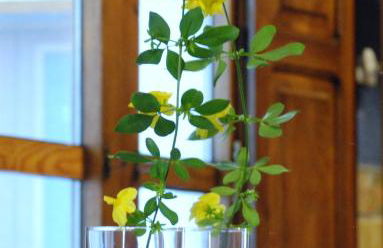 Casa de Pueblo El Patio de las Cebollas - Foto 68