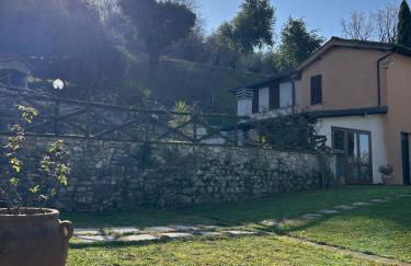 Azienda Agrituristica Il Moraiolo - Foto 5