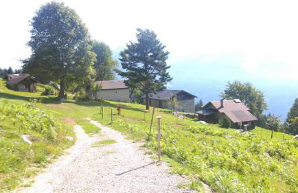 Baita Martin da Fist - Foto 21