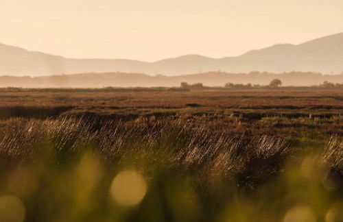 Casa do Arrozal Comporta - Foto 19