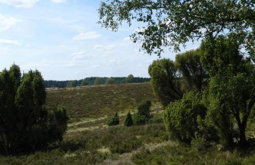 Ferienhaus in der Lüneburger Heide - Foto 16