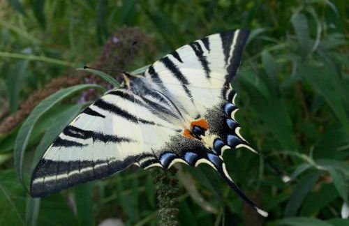 Agriturismo Al Marnich - Foto 128
