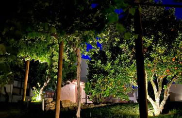 Casa Bizarra - Foto 24