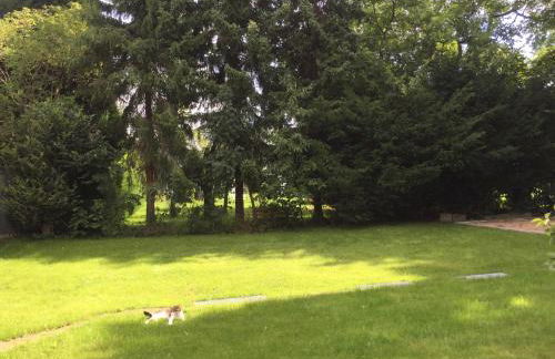 Apartment nahe Villenviertel - Foto 18