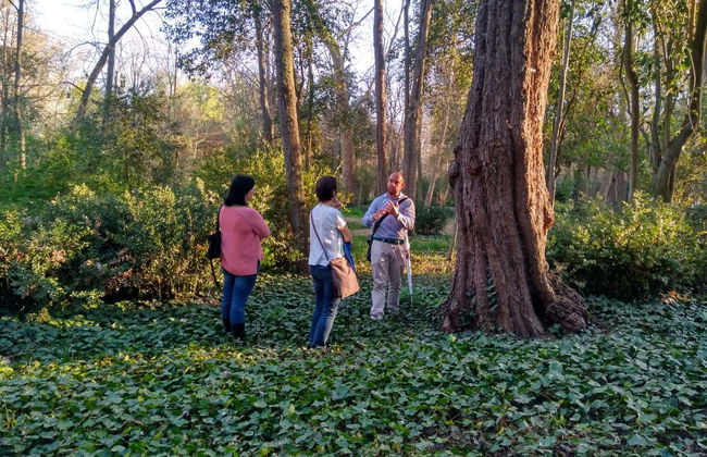Visita guiada por el Jardín del Príncipe - Photo 7
