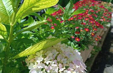 Mar Tu Apartamento en Llanes - Foto 35