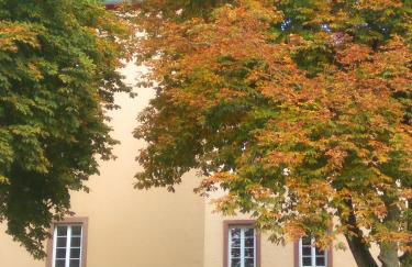 Living-in-History: Heidi Braun Cottage - Foto 24