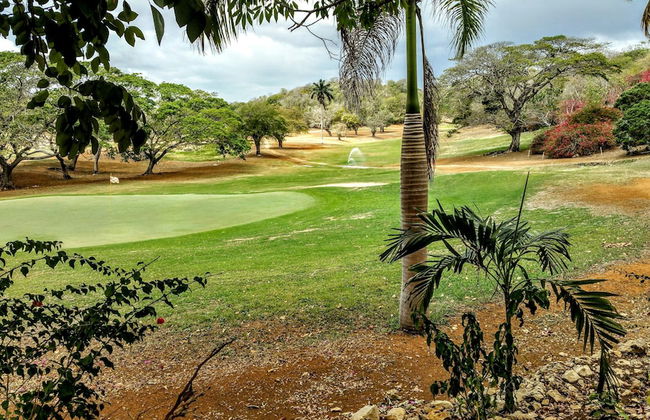 Casa Alexandria Guest Apartment - Foto 64