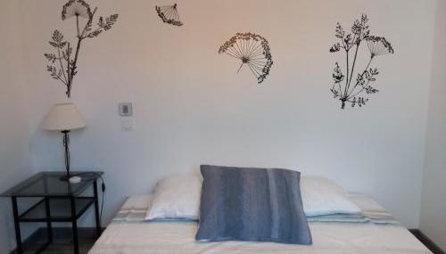 BELLE ARCACHONNAISE - Foto 2