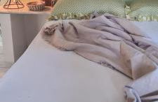 Casa do Bougainvillea Mundaú-Trairi-Ce - Foto 34