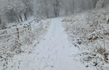 Les Chryolles - Foto 20