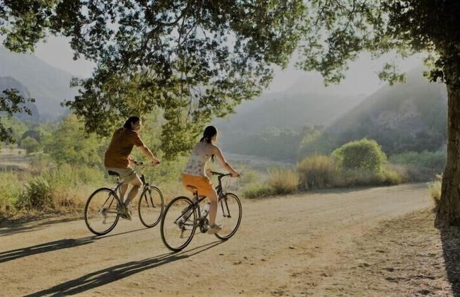 Faro Rosso - Photo 20