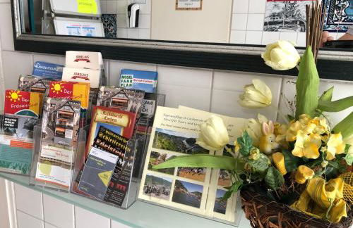 Ferienwohnungen Haus zur Linde - Foto 20