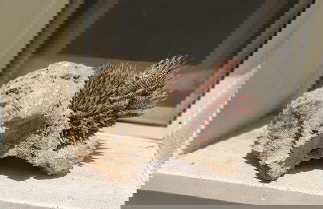 Casa Eleonora in Veglie - Foto 39