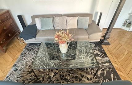 Beautiful Apartment with Seine and Musée d'Orsay View - Foto 9