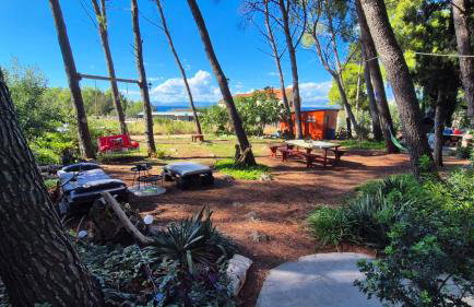 Apartments Vera - Mirca - Photo 17