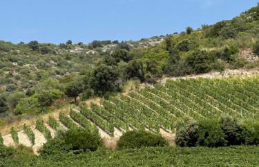 Appartement 2 CHAMBRES PISCINE TERRASSE SAINT FLORENT - Foto 45
