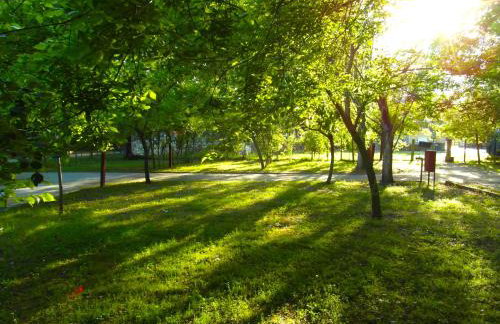 Camping Orpheus Apartments - Foto 42