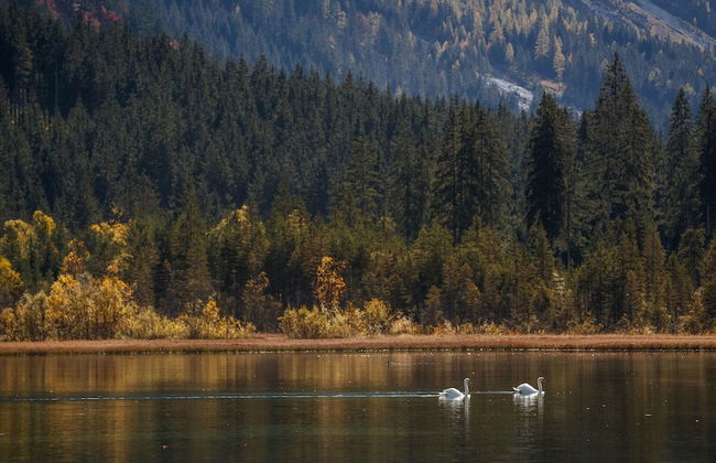 Sunny Apartment in Wagrain - Foto 16