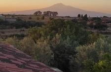 Piccolo Podere - Foto 52