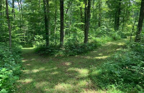 Fern Hill Cabin - Foto 39