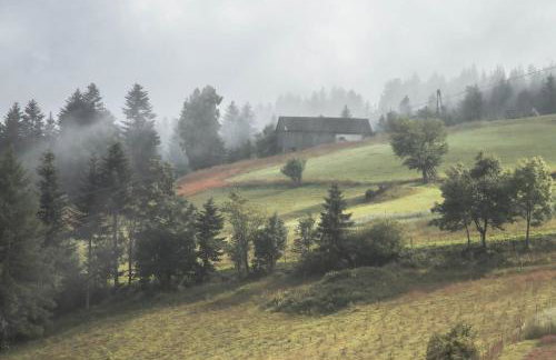 Domek na Obidzy - Foto 8