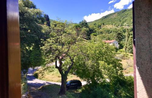 THE DORMOUSE - Il Ghiro - Foto 47