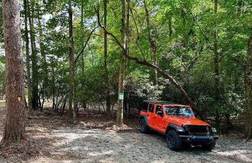 Cozy Lakeview Cottage - Foto 51