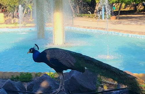 Lago Jardin , CHILL CASA - Foto 23