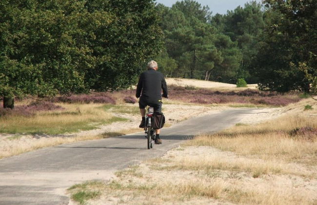 Chalet Near Loonse and Drunense Duinen - Photo 34