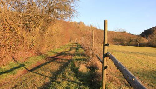 Ferienwohnung Klimek - Foto 5