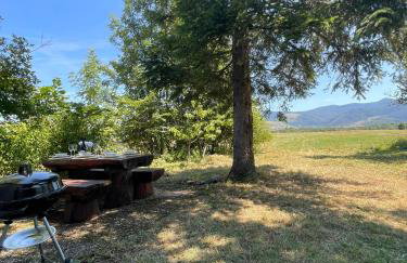 Pine & Oak Holiday Home - Foto 39