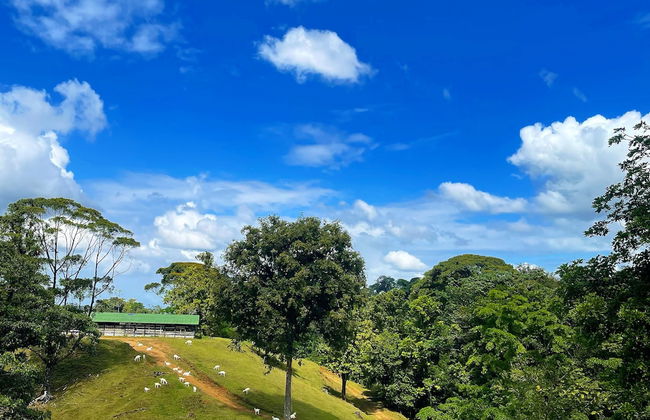 La Finca Azul - Foto 68