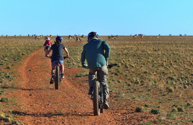 Solitaire Desert Farm - Foto 26